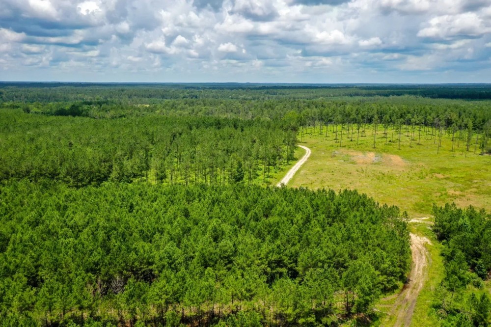 220 Ac Josserand Rd Tinity County TX featured image