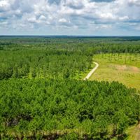 220 Ac Josserand Rd Tinity County TX