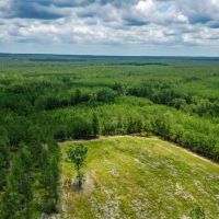 220 Ac Josserand Rd Tinity County TX images 2