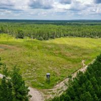 220 Ac Josserand Rd Tinity County TX images 4