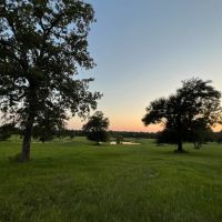 Frontier 333 images 4
