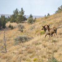 The Stanley Ranch images 5