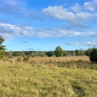 90 Acres with a Home in Attala Choctaw Counties MS images 4