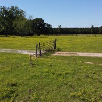 101.3 - acres Cornering Callahan Rd and Cypress Creek Rd Oakdale La 71463 images 3