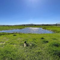 McKenzie Bloodstock Ranch images 2