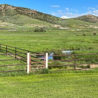 McKenzie Bloodstock Ranch images 4