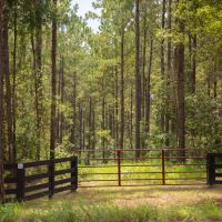 61 Acres T-17 Stryker Mill images 2