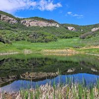 Papoulis Canyon Ranch