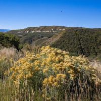 Papoulis Canyon Ranch images 3