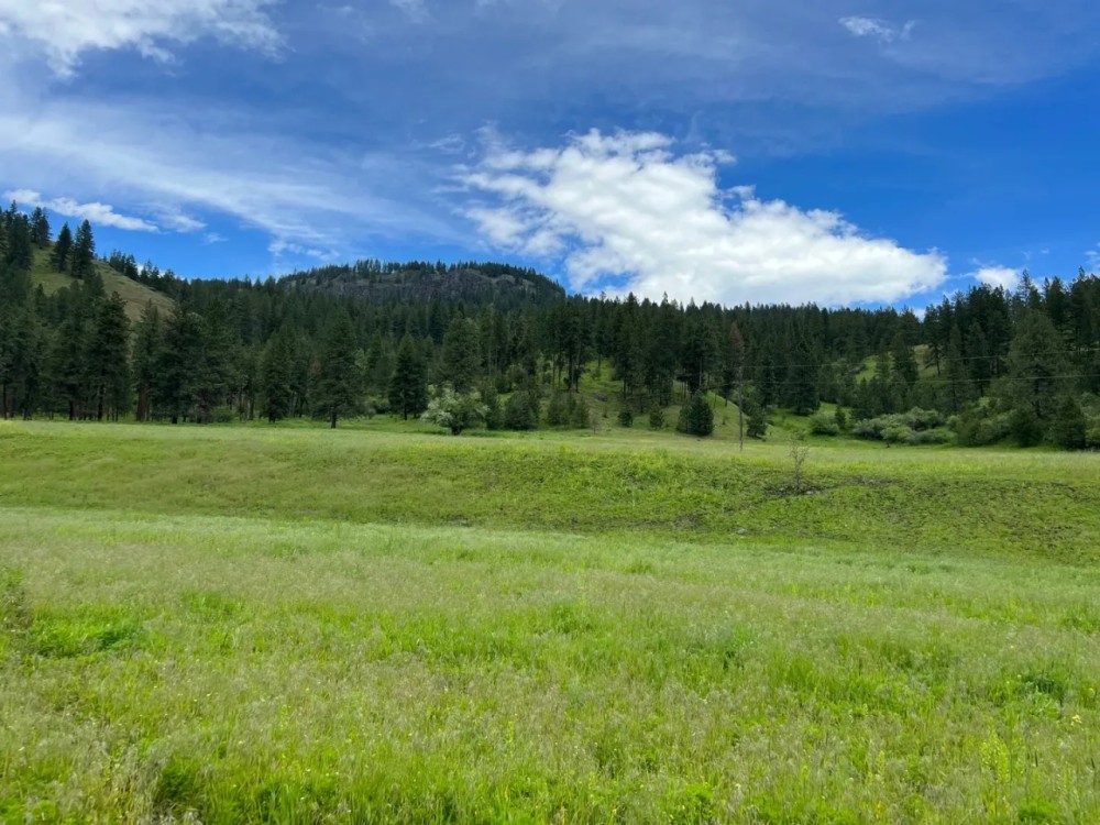 Perry Mill Ranch featured image