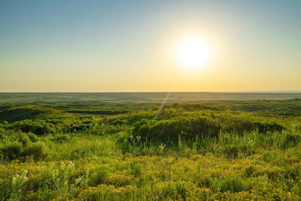 South Division MV2 Ranch featured image