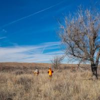 South Division MV2 Ranch images 3