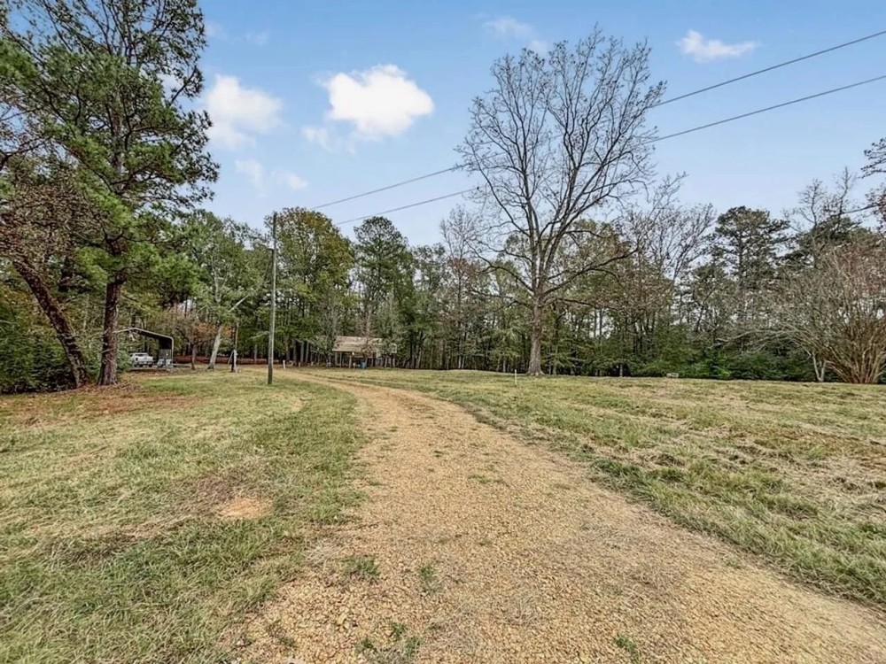 Recreational Hunting Land with Camper Hookups and Pond featured image