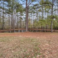 Recreational Hunting Land with Camper Hookups and Pond images 3