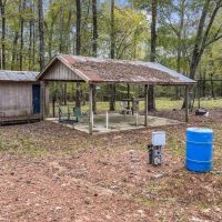 Recreational Hunting Land with Camper Hookups and Pond images 4