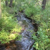 Two Creeks Montana Mountain Ranch images 3