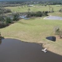 315 Acres in Jasper County in Pachuta MS