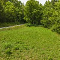174 Acres War Creek Road Eidson Tennessee images 3