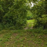 174 Acres War Creek Road Eidson Tennessee images 5