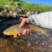 Pleasant View Ranch images 5