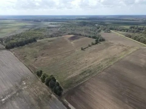 40 Acres in Humphreys County MS featured image