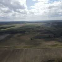 40 Acres in Humphreys County MS images 2