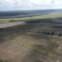 40 Acres in Humphreys County MS images 3