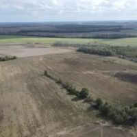 40 Acres in Humphreys County MS images 4
