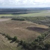 40 Acres in Humphreys County MS images 5