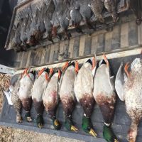 LA - Morehouse 600 acres -