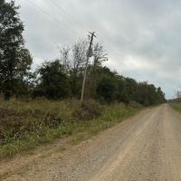 LA - Morehouse 600 acres - images 4
