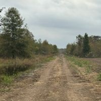 LA - Morehouse 600 acres - images 5