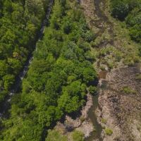 Escape to the Tranquil Beauty of East Tennessee Your Dream Home Awaits images 4