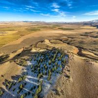 Elk Meadows Ranch images 2