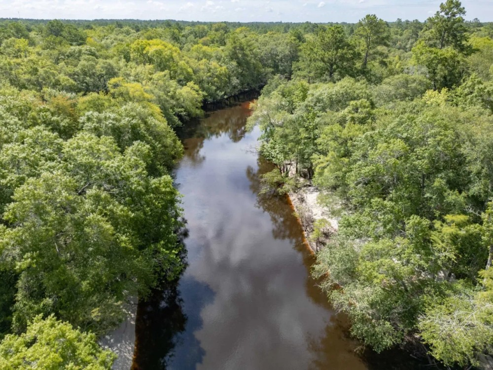 49.19 Acres - Tract 2 on Riverfront Haven on Alapaha River featured image