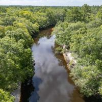 49.19 Acres - Tract 2 on Riverfront Haven on Alapaha River