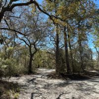 49.19 Acres - Tract 2 on Riverfront Haven on Alapaha River images 3