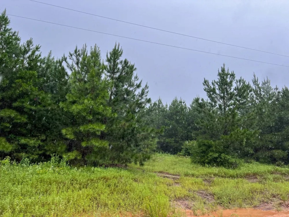 44 Acres T-2 Off County Road 2064 01253 featured image