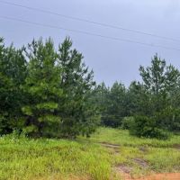 44 Acres T-2 Off County Road 2064 01253