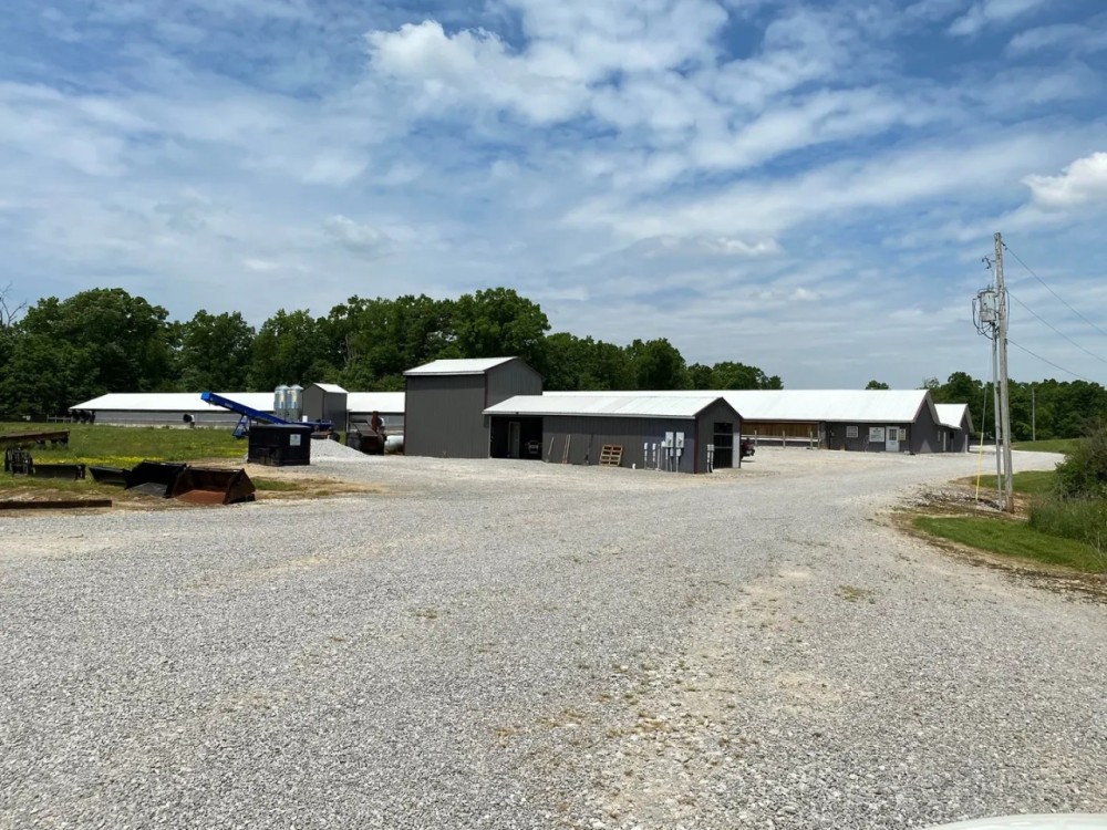 Poultry Breeder Farm with Home For Sale in McCreary County KY featured image
