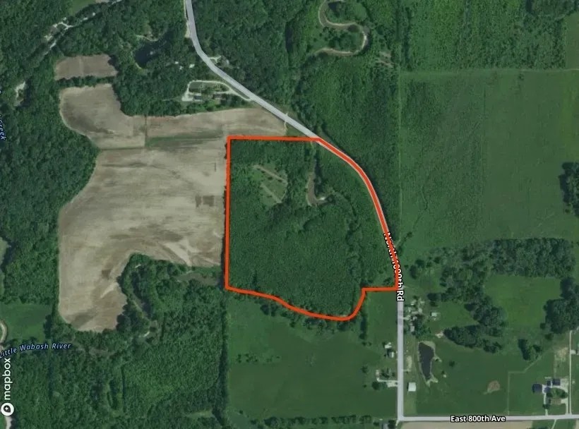 33 acres in Effingham County featured image