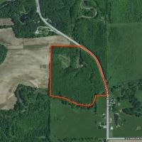 33 acres in Effingham County