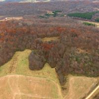 79 - Acres in Sauk County WI with Cabin images 3