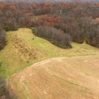 79 - Acres in Sauk County WI with Cabin images 5