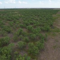 New Listing 100 - Acres Jones County images 1