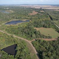 Trophy Deer Hunting Property in Gallatin County IL