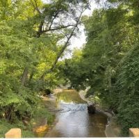Lost Corner Tract