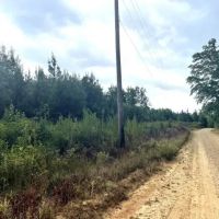 Lost Corner Tract images 2