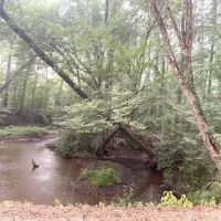 Lost Corner Tract images 4