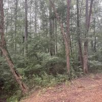 Lost Corner Tract images 5